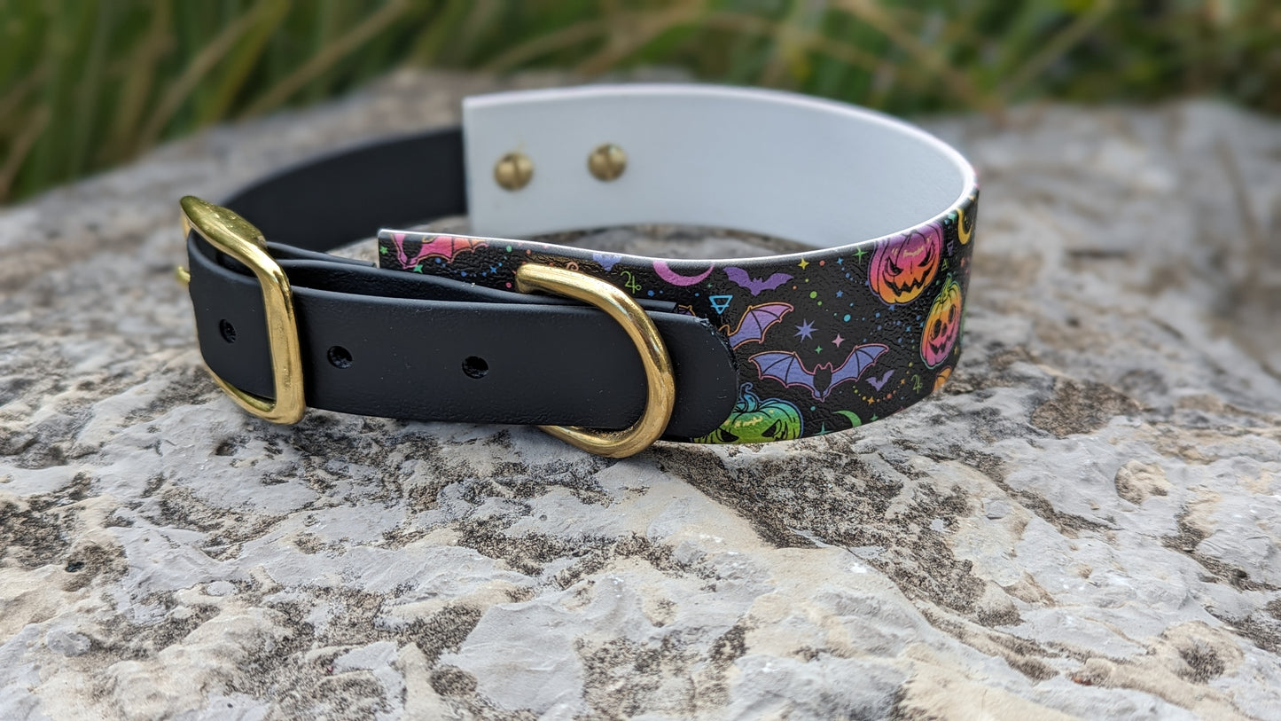 1.5" Flat Buckle Collar | Jack n Bats | RTS