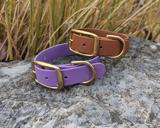 1" Flat Buckle | Small