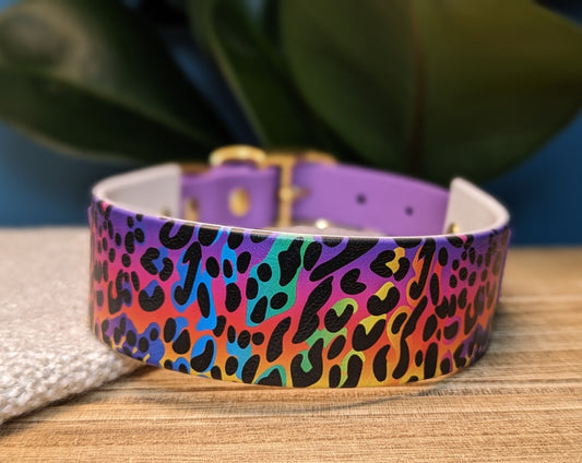 1.5" Flat Buckle Collar | Rainbow Leopard