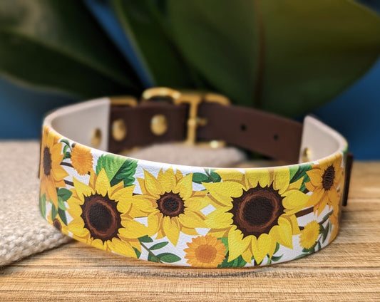 1.5" Flat Buckle Collar | Sunflowers