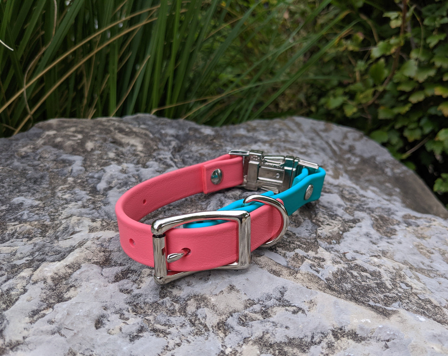 3/4" Double Buckle | Teal x Bubblegum Pink | Small | Heavy